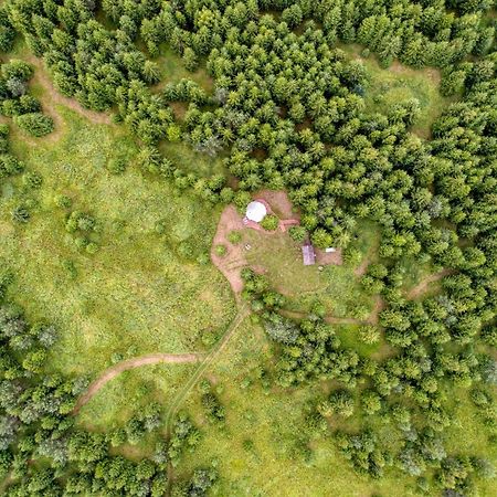 فندق Kuusehaldja Glamping Kohila المظهر الخارجي الصورة