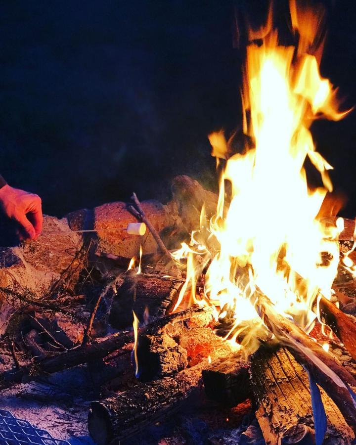 فندق Kuusehaldja Glamping Kohila المظهر الخارجي الصورة