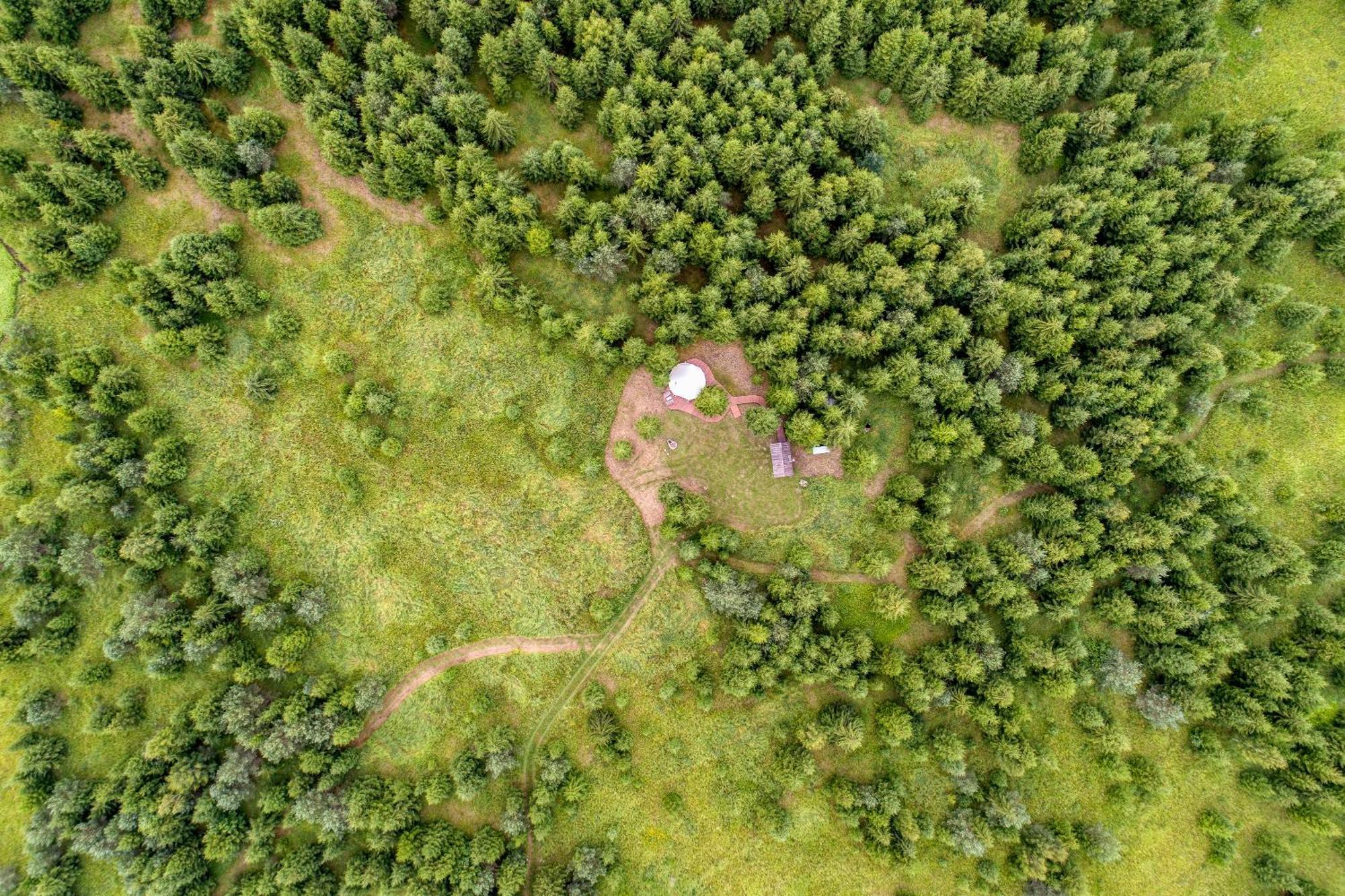 فندق Kuusehaldja Glamping Kohila المظهر الخارجي الصورة